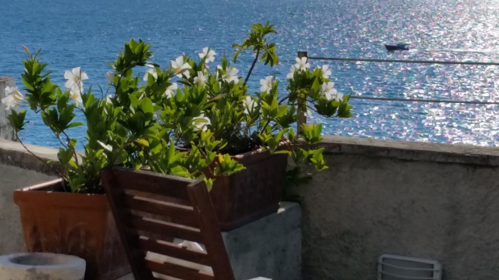 Bed and Breakfast Le Sirene Tellaro Exterior foto